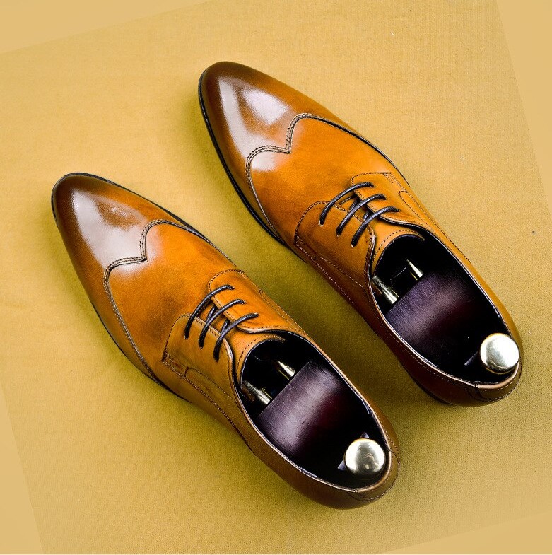 Massimo Gambini Brogues Shoes For Men | FR76 Group Ltd